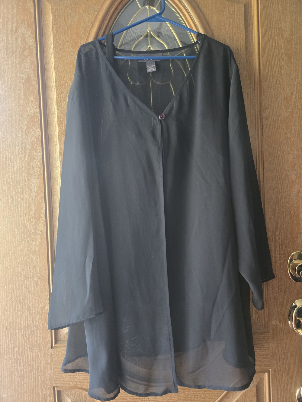 Sheer Black Button-Front Blouse